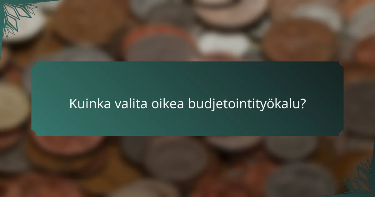 Kuinka valita oikea budjetointityökalu?