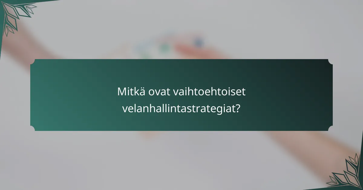 Mitkä ovat vaihtoehtoiset velanhallintastrategiat?